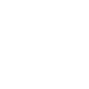 Theme Icon